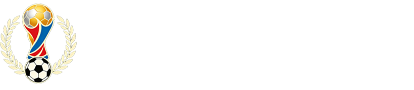 法国队直播